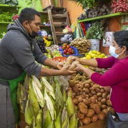 PERU-LIMA-VIDA COTIDIANA