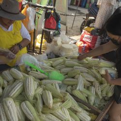 PERU-LIMA-VIDA COTIDIANA