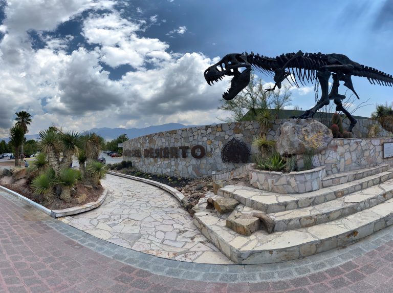 Ícono saltillense: El Museo del Desierto