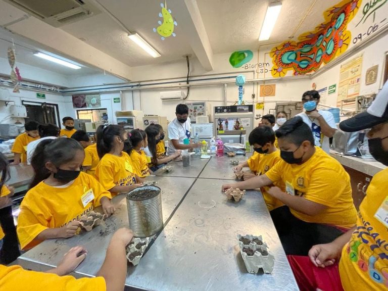 La UA de C impartió en verano cursos y talleres para niñas y niños