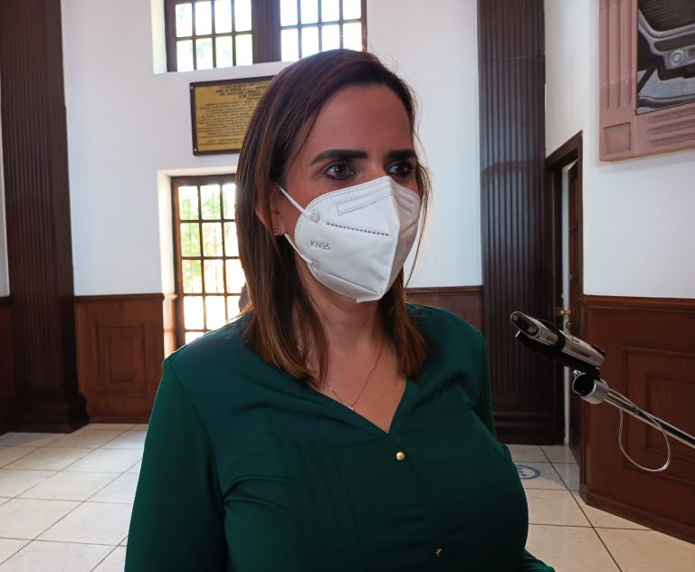 Muestra proceso de MORENA cómo serían elecciones en México si no existiera el INE: diputada Guadalupe Oyervides