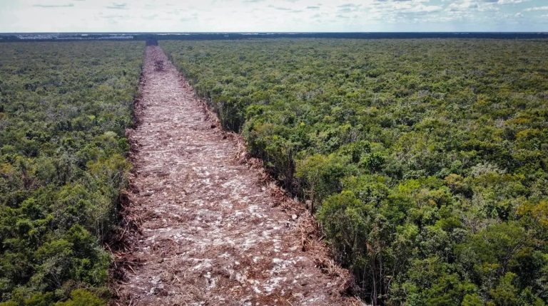 Juez en Yucatán da segunda suspensión definitiva contra tramo 5 de TM