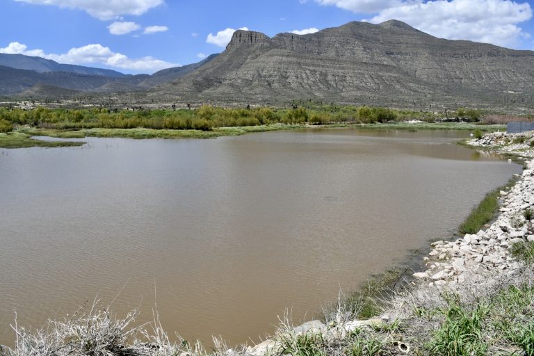 Presa Palo Blanco se niega a desaparecer 