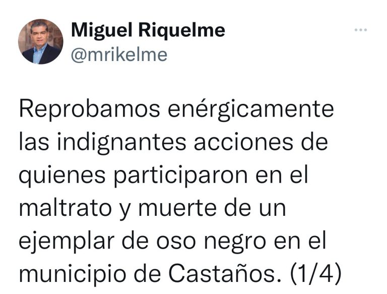Reprueba el gobernador Miguel Riquelme las acciones que causaron la muerte de un oso negro en Castaños