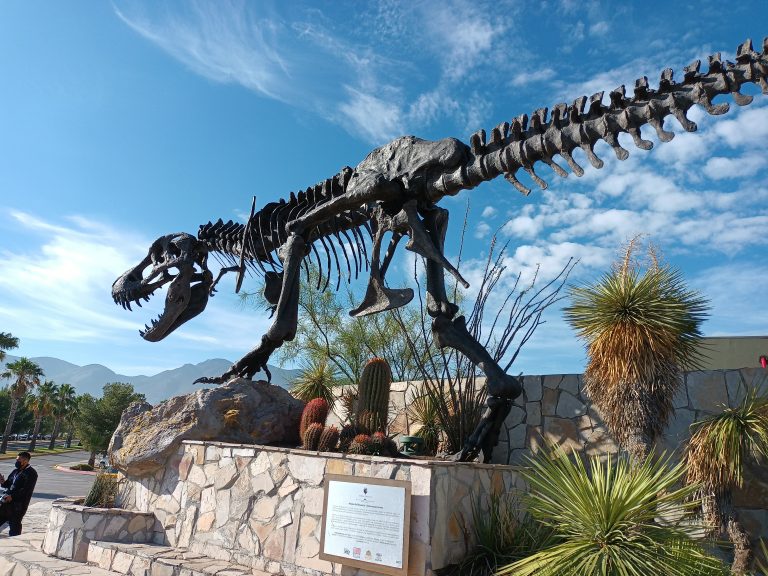 Este 16 de septiembre estarán el MUDE y el MUSAVE abiertos al público