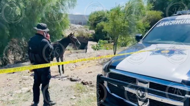 Hallan cuerpo de persona sin vida al interior de un arroyo en Saltillo