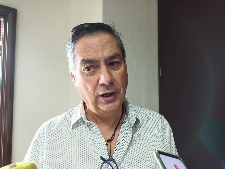 No alimentar a osos evitará que se acerquen a zonas pobladas; asegura director del MUDE