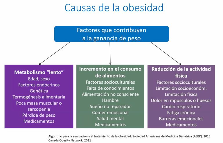 Obesidad, enfermedad “socialmente contagiosa”