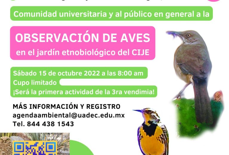 Conoce la biodiversidad a través de la observación de aves en el CIJE de la UA de C