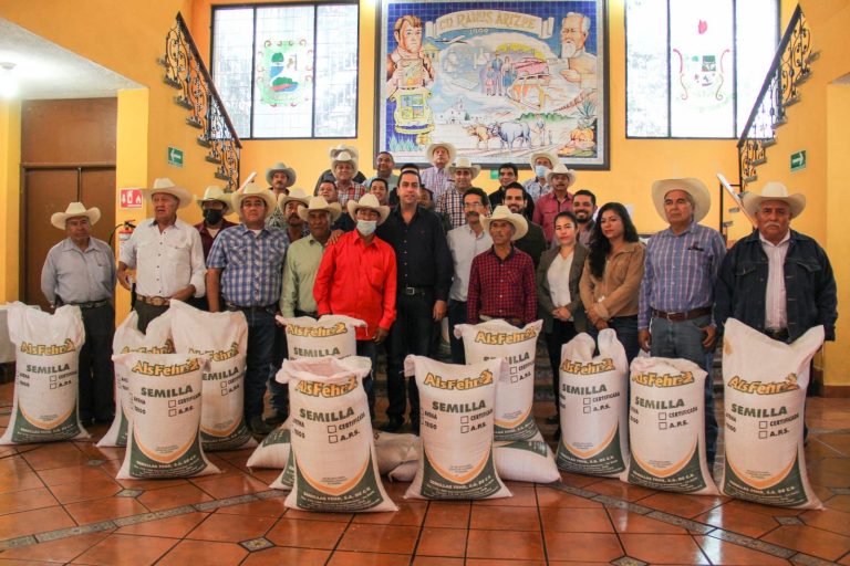 Justo a tiempo; llegan las semillas, junto con las lluvias