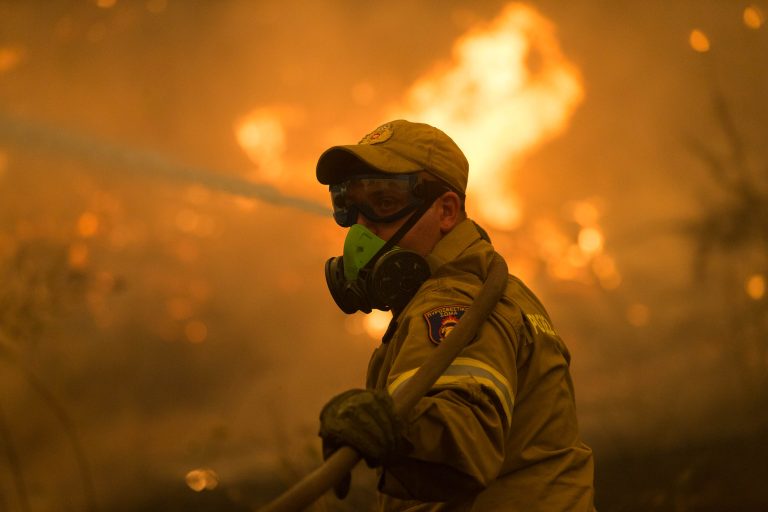 Los incendios forestales empeoran la calidad del aire y dañan la salud de las personas y los ecosistemas