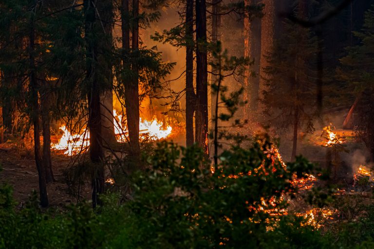 O se toman medidas más ambiciosas, o las consecuencias del cambio climático “serán devastadoras”: OMM
