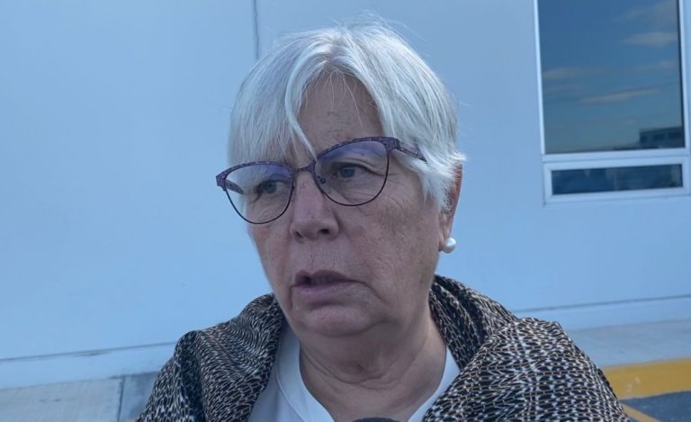 Pide Medio Ambiente Coahuila registrar a ganado para acceder a seguro contra ataques de osos y otros animales silvestres