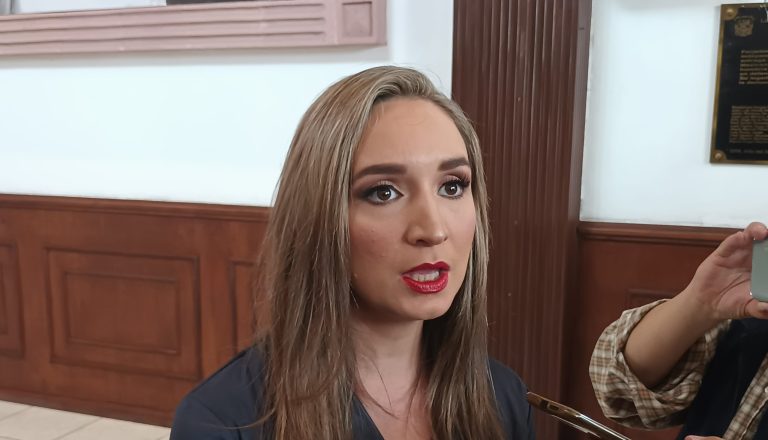 Propone Edna Dávalos se otorguen incentivos fiscales a la producción, venta y uso de vehículos eléctricos