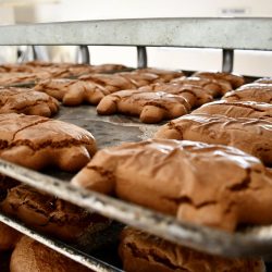 Centro ‘Esperanza y Nueva Vida’ comenzará elaboración de pan de muerto para solventar gastos 11