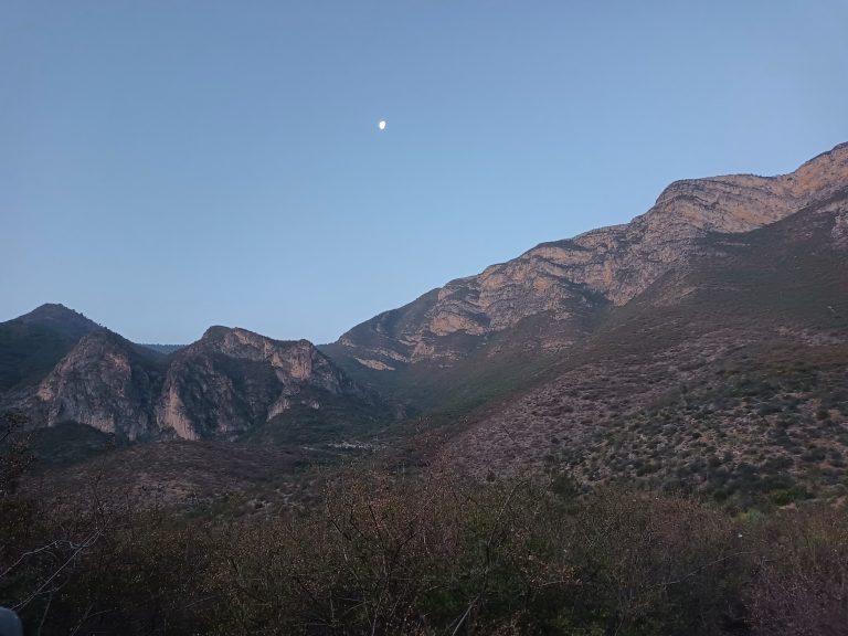 Habrá este domingo campaña de reforestación en el Cañón de San Lorenzo