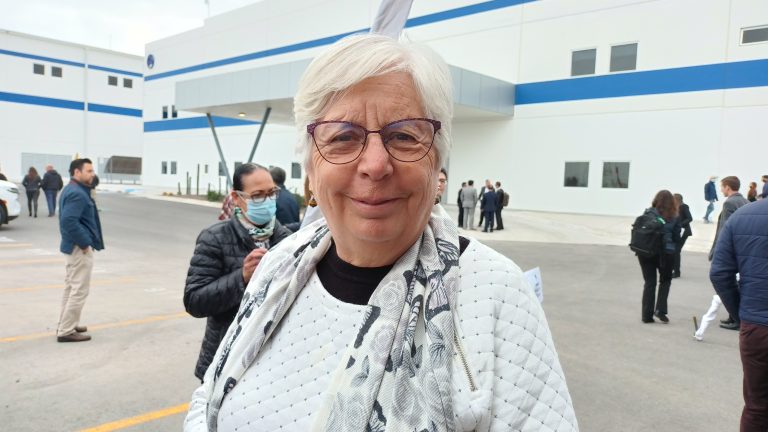 Brote de dengue en la Región Carbonífera podría afectar paso de la monarca por Coahuila: SMA