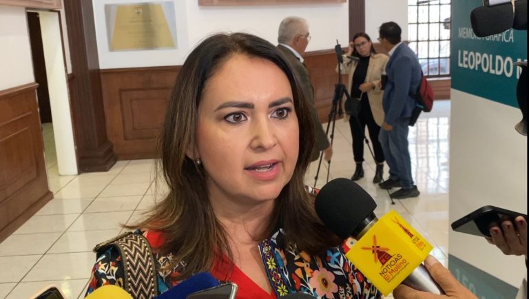 Proponen crear programas de apoyo a niñas y niños de Coahuila en estado de orfandad por causa del COVID-19