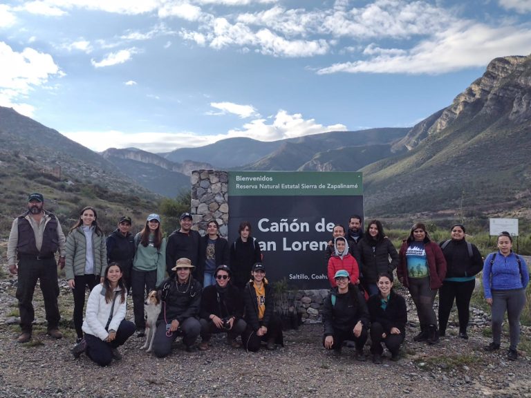 Realizan reforestación en Cañón de San Lorenzo 