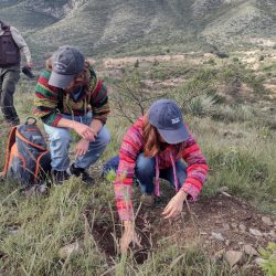 Realizan reforestación en Cañón de San Lorenzo 8