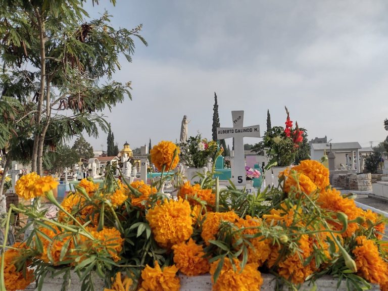 Cempasúchil: la flor que guía a los muertos para reunirse con los vivos