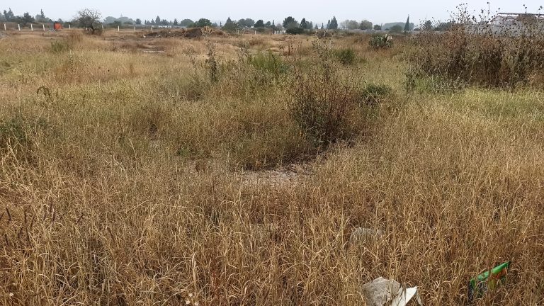 En alerta PC de Saltillo por riesgo de incendios en baldíos