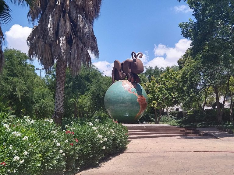 Invita Parque El Chapulín a celebrar el Día del Reciclaje intercambiando residuos por plantas suculentas