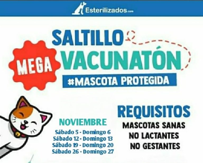 Invitan en Saltillo al mega vacunatón para combatir brote de moquillo canino