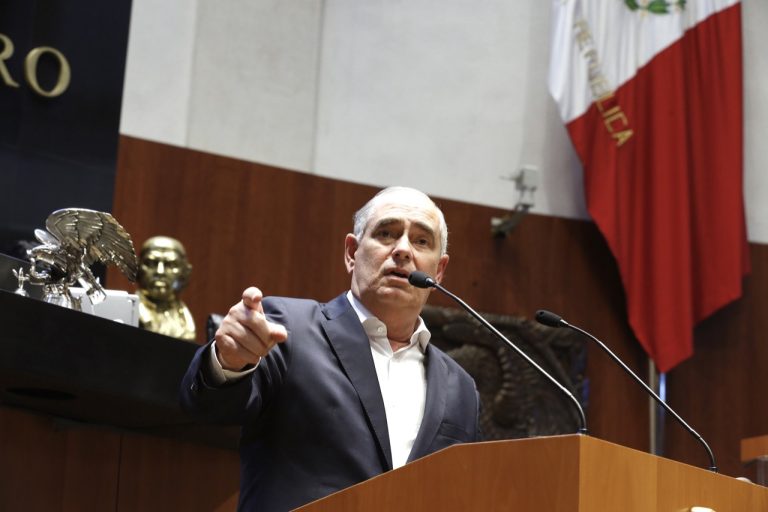 El presidente hizo una marcha bajo amenazas, castigos laborales y mucho derroche: Julen Rementería