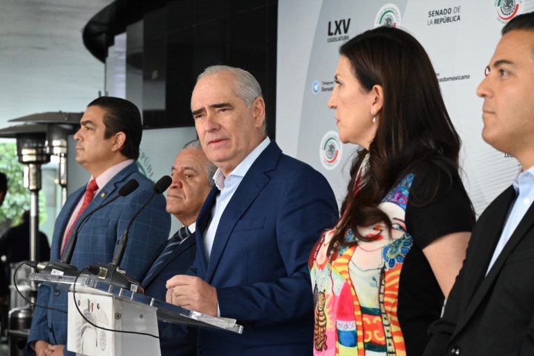 La Reforma Electoral está muerta, no tuvo fuerza ni para convencer a sus aliados: Julen Rementería