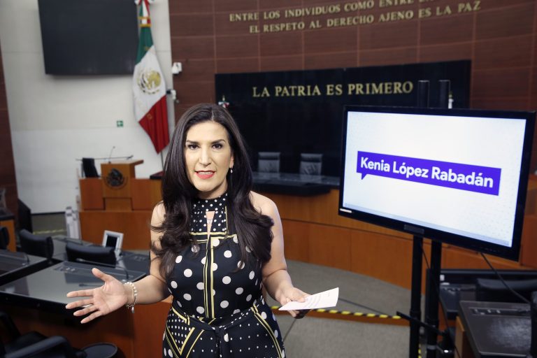 Marcharon 700 mil personas en defensa del INE y la democracia y contra el autoritarismo: López Rabadán