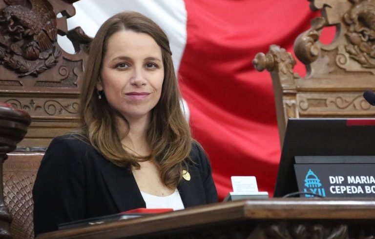 Pide diputada María Bárbara Cepeda que políticas públicas en favor de niños, niñas y adolescentes se basen en sus necesidades y opiniones
