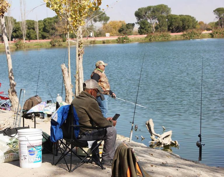 Aseguran que peces de la Ciudad Deportiva son comestibles