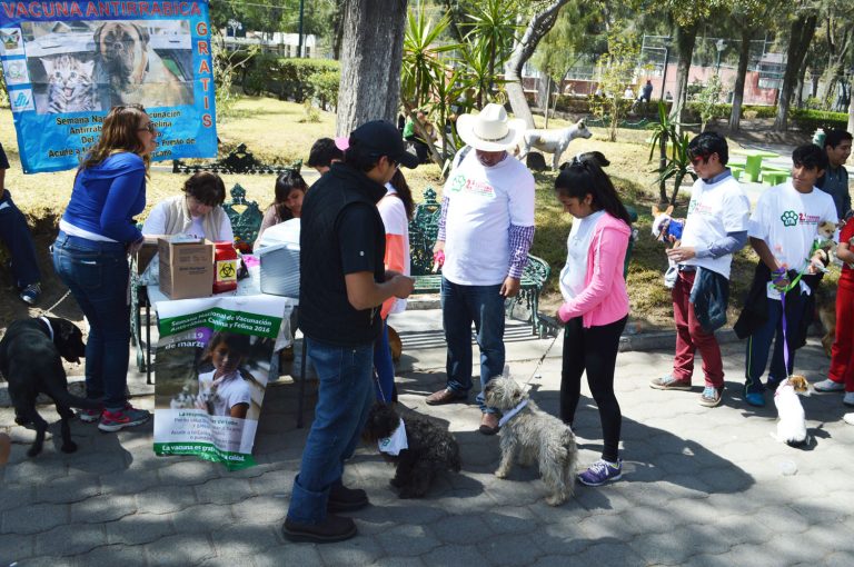 Permanece Coahuila 17 años sin detectar rabia