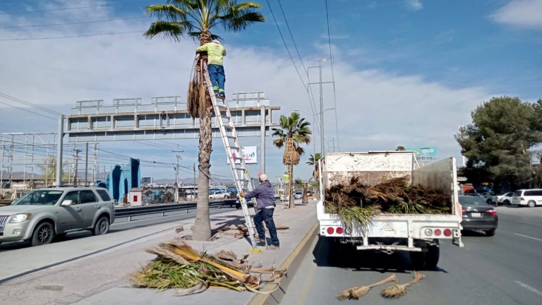 Brinda resultados programa Saltillo Me Gusta