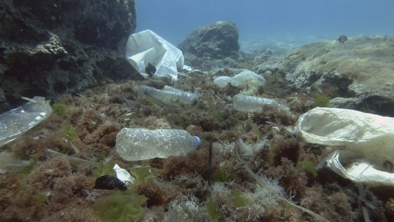 Los microplásticos en los fondos marinos se han triplicado en veinte años