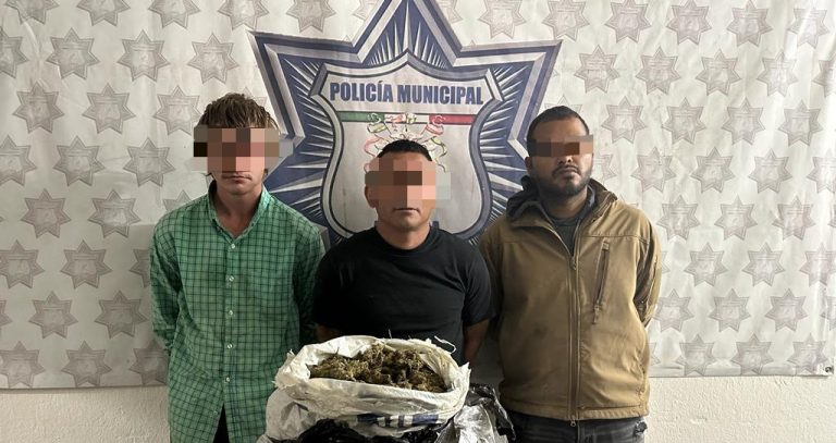 K9 de Arteaga detecta 4 kilos de marihuana