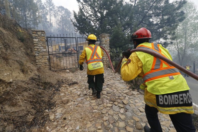 Tendrá Saltillo brigada permanente contra incendios forestales