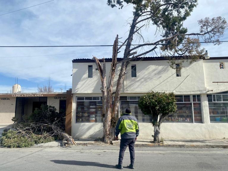 Atiende Gobierno de Saltillo afectaciones por viento