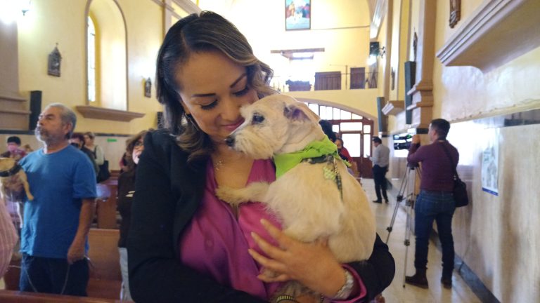 Bendicen a mascotas de saltillenses en Parroquia de San Esteban 