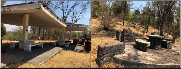 El suelo, base de la vida