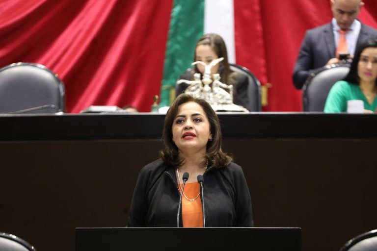 Gobierno debe informar de estrategia para recibir a menores migrantes, tras acuerdo con EU: diputada Ana Lilia Herrera
