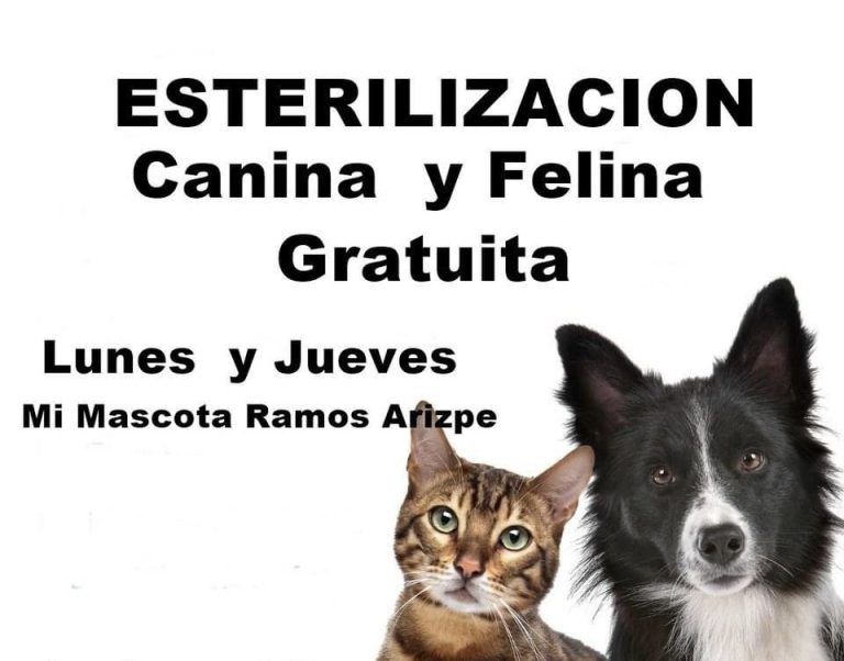 Por reiniciar esterilizaciones en centro Mi Mascota de Ramos Arizpe