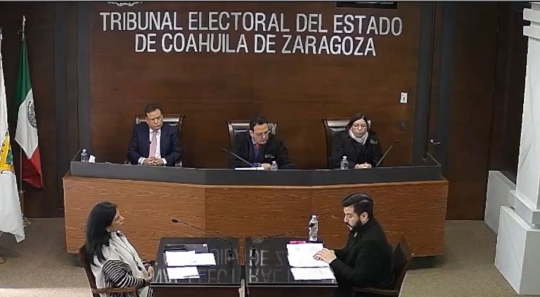 El Tribunal Electoral determina acciones afirmativas de paridad y grupos vulnerables para el Congreso