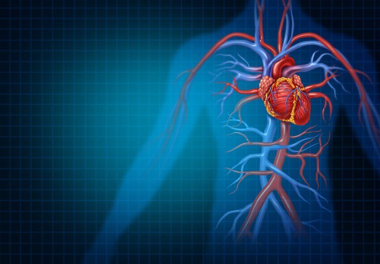 Un estudio advierte riesgos de enfermedades cardiovasculares en un edulcorante común bajo en calorías