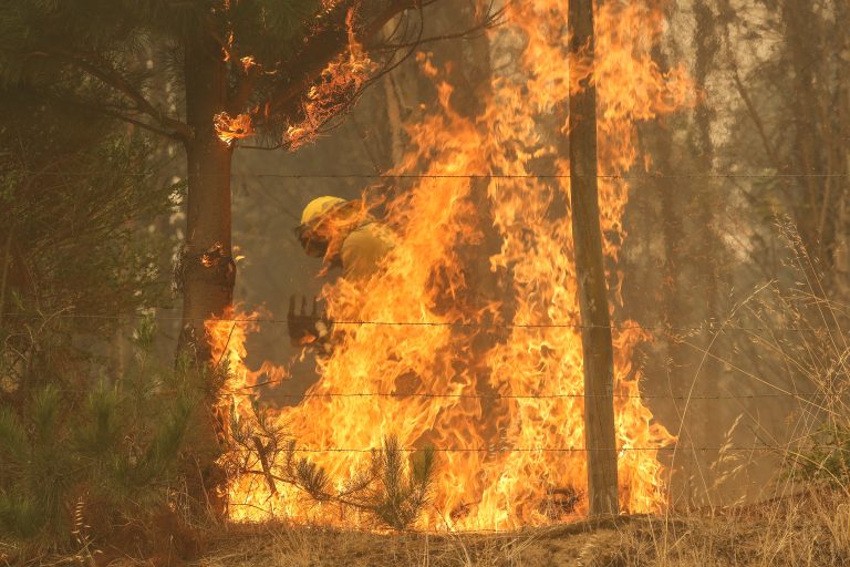 Chile declara 26 comunas en áreas de peligro forestal con 286 mil 198 hectáreas afectadas por incendios