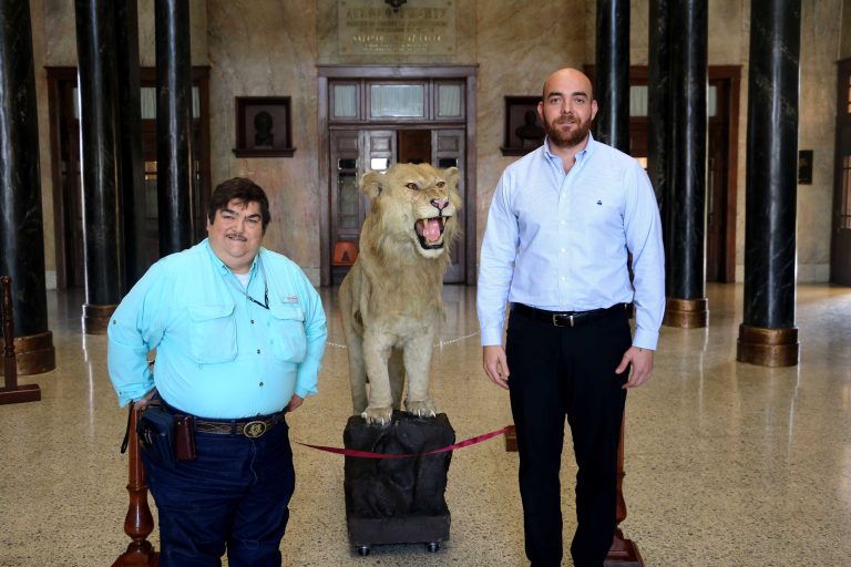 Crece el acervo del Museo de Historia Natural del Ateneo Fuente