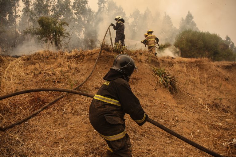Incendios forestales en Chile consumen 425 mil hectáreas