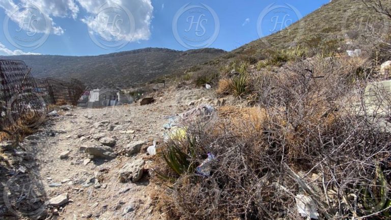 Perro desentierra restos humanos en el cerro de Las Galeras en Saltillo