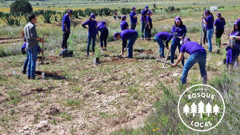 Convertirán parques industriales de Saltillo, Ramos y Arteaga en espacios verdes